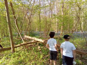 IMG_20220421_113028_405[1]