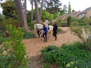 IMG_20220428_102400_993[1]
